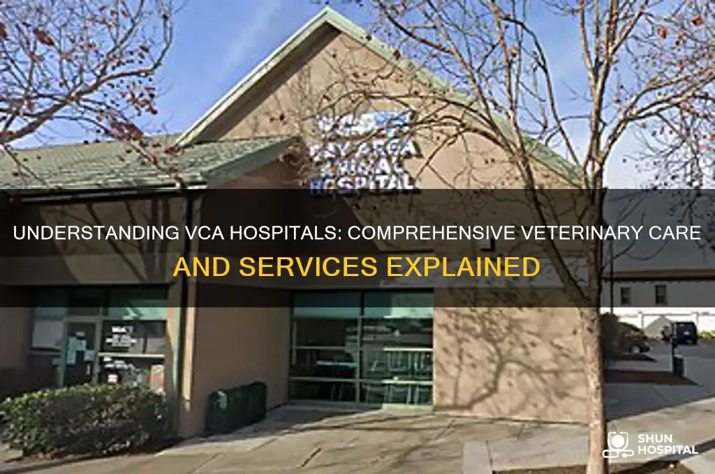 what are vca hospitals