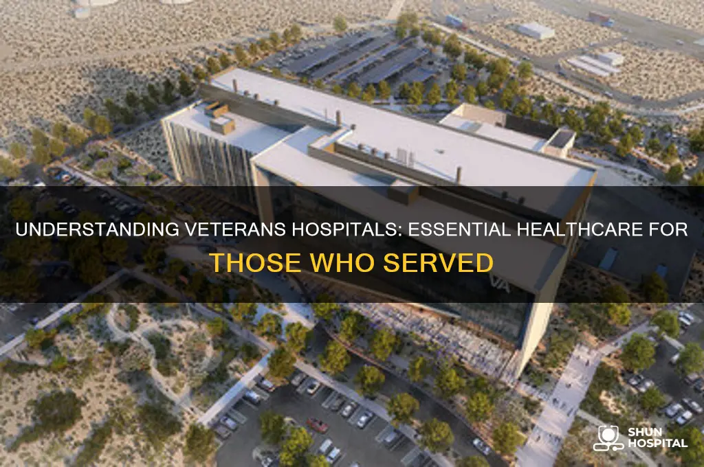 what are veterans hospitals
