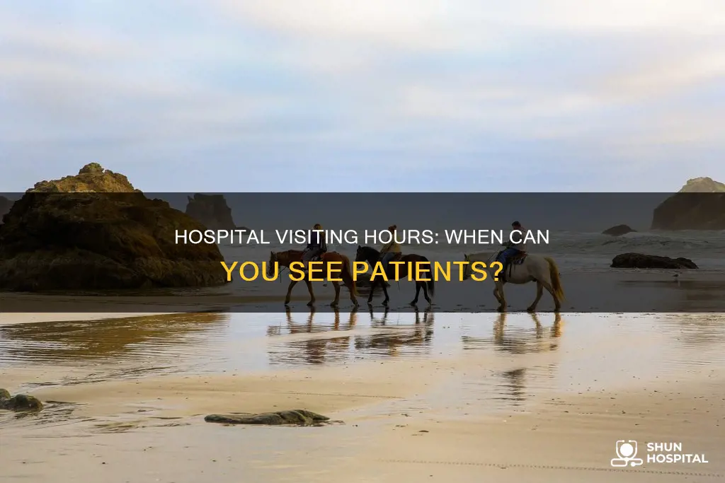 what are visiting hours at the hospital