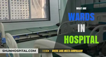 Understanding Hospital Wards: Functions, Types, and Patient Care Essentials