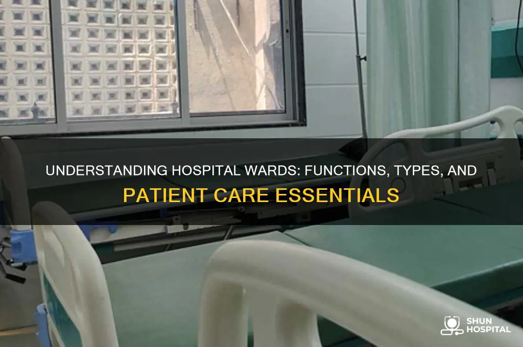 what are wards in hospital