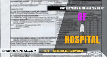 Understanding Yellow Papers: Essential Post-Hospital Discharge Documentation Explained