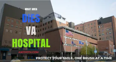 Understanding VA Hospital Service Areas: Where Do They Operate?