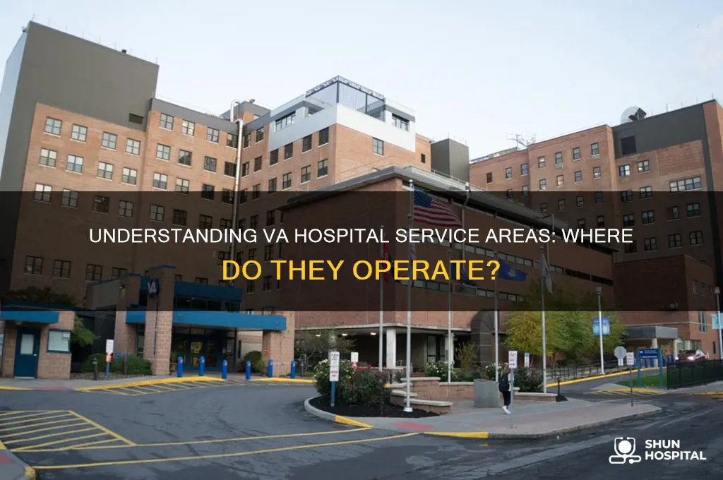 what area dies va hospital