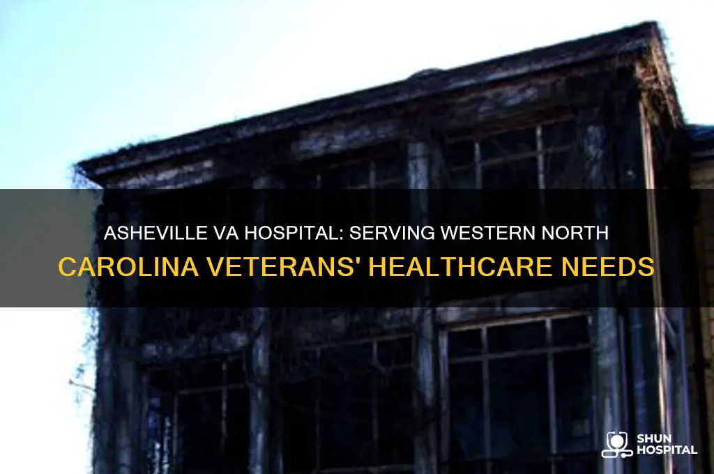 what area does va hospital in asheville nc serve