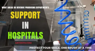 Revenue-Generating Hospital Departments: Key Areas of Support and Impact