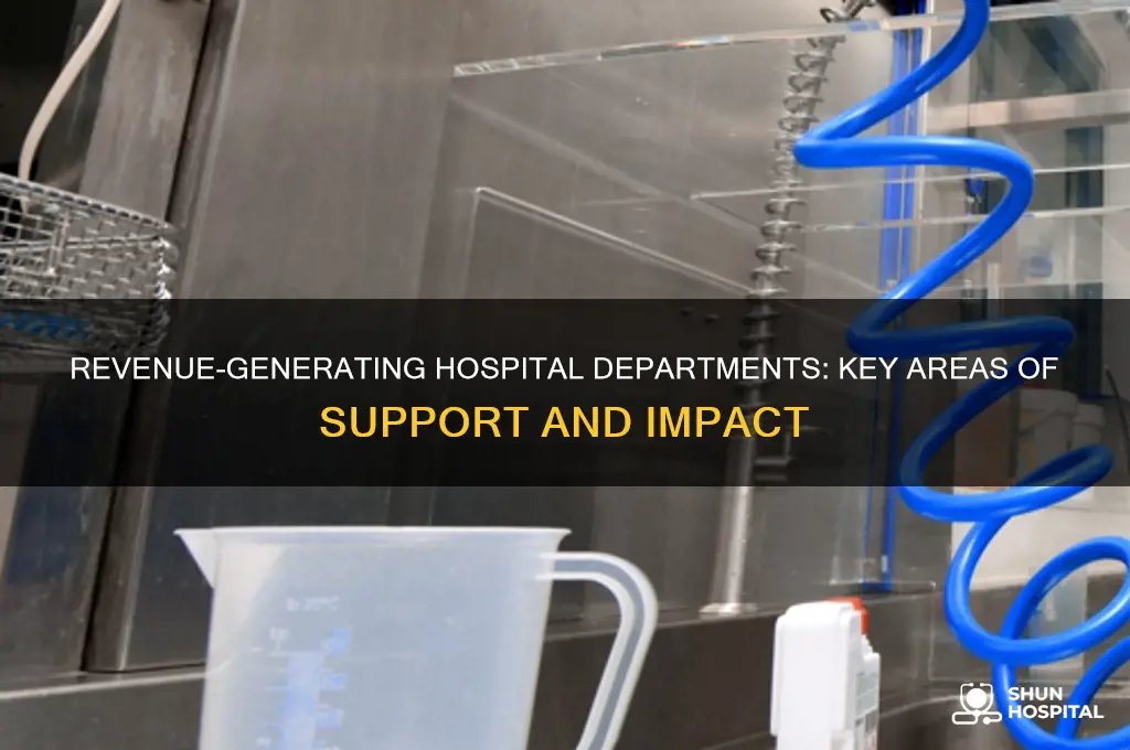 what areas do revenue producing departments support in hospitals
