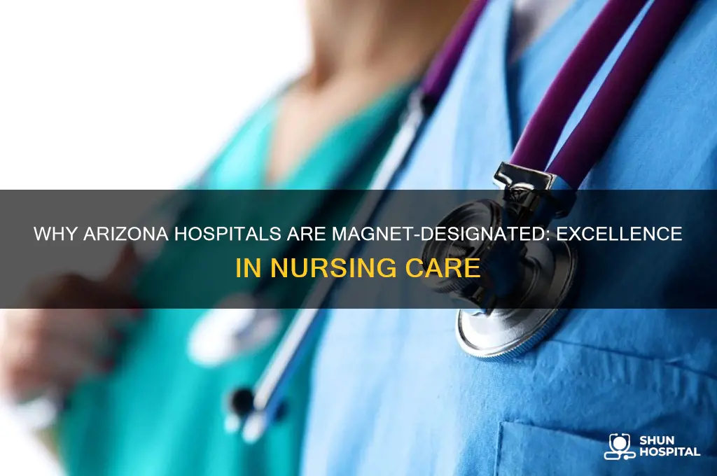 what arizona hospitals are magnet