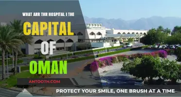 Discovering Muscat's Healthcare: Top Hospitals in Oman's Capital City