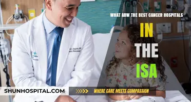 Top Cancer Hospitals in the USA: Expert Care and Innovation