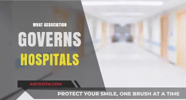 Understanding the Governing Bodies That Oversee Hospital Operations and Standards