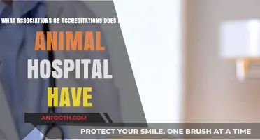 McAfee Animal Hospital's Trusted Associations and Accreditations Explained