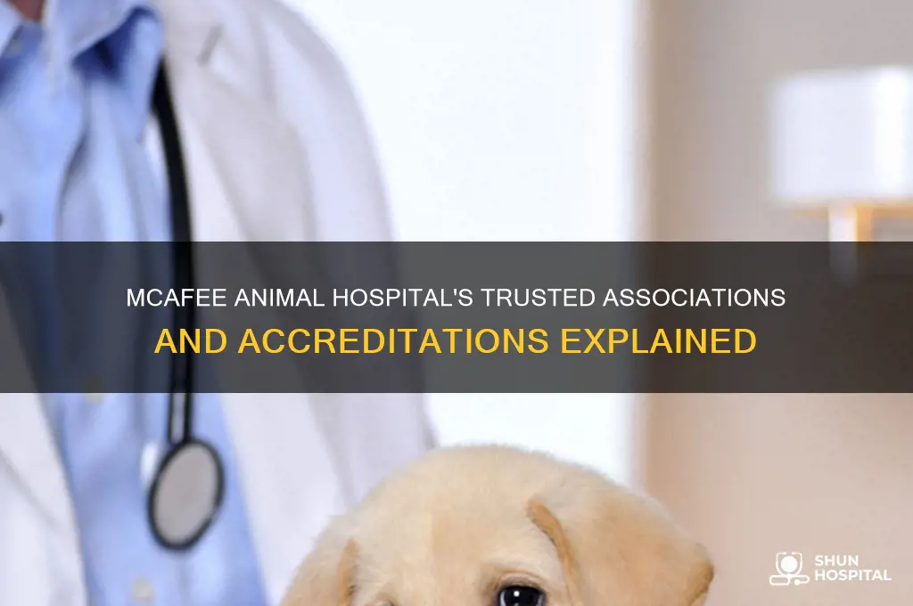 what associations or accreditations does mcafee animal hospital have