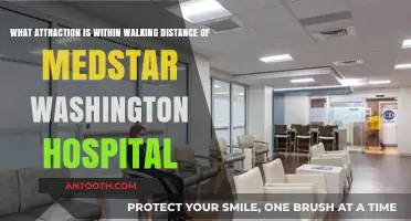 Explore Nearby: Walking Distance Attractions from MedStar Washington Hospital