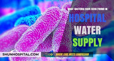 Hidden Dangers: Bacteria Discovered in Hospital Water Supply Systems