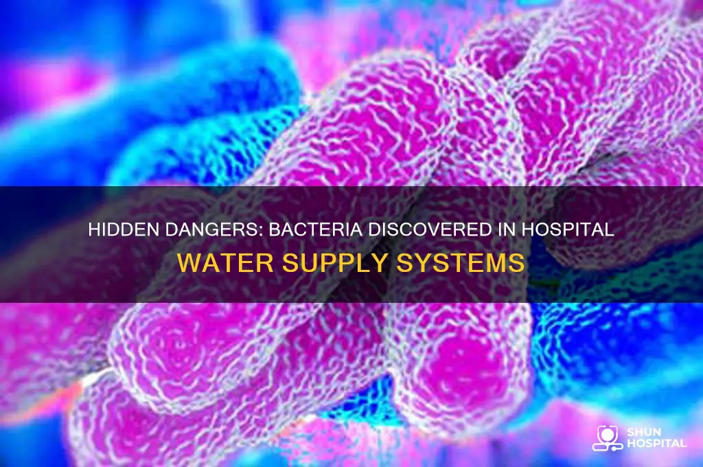 what bacteria have been found in hospital water supply