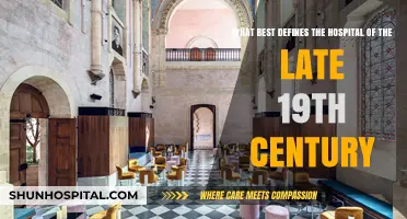 19th-Century Hospitals: Sanctuaries of Innovation Amidst Sanitation Struggles