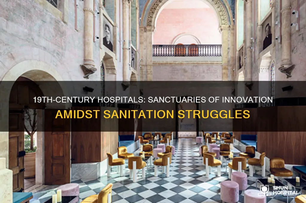 what best defines the hospital of the late 19th century