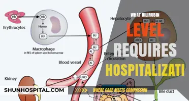 When to Hospitalize: Critical Bilirubin Levels Explained