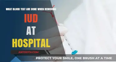 Blood Tests During IUD Removal: Essential Hospital Procedures Explained