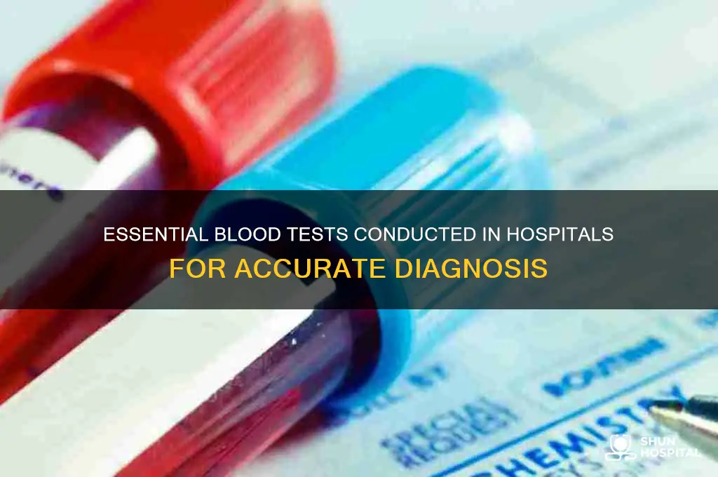 what blood test have to be done in hospital