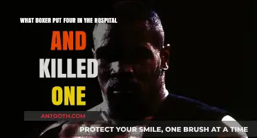Deadly Boxer's Brutal Attack: Four Hospitalized, One Killed in Tragic Incident