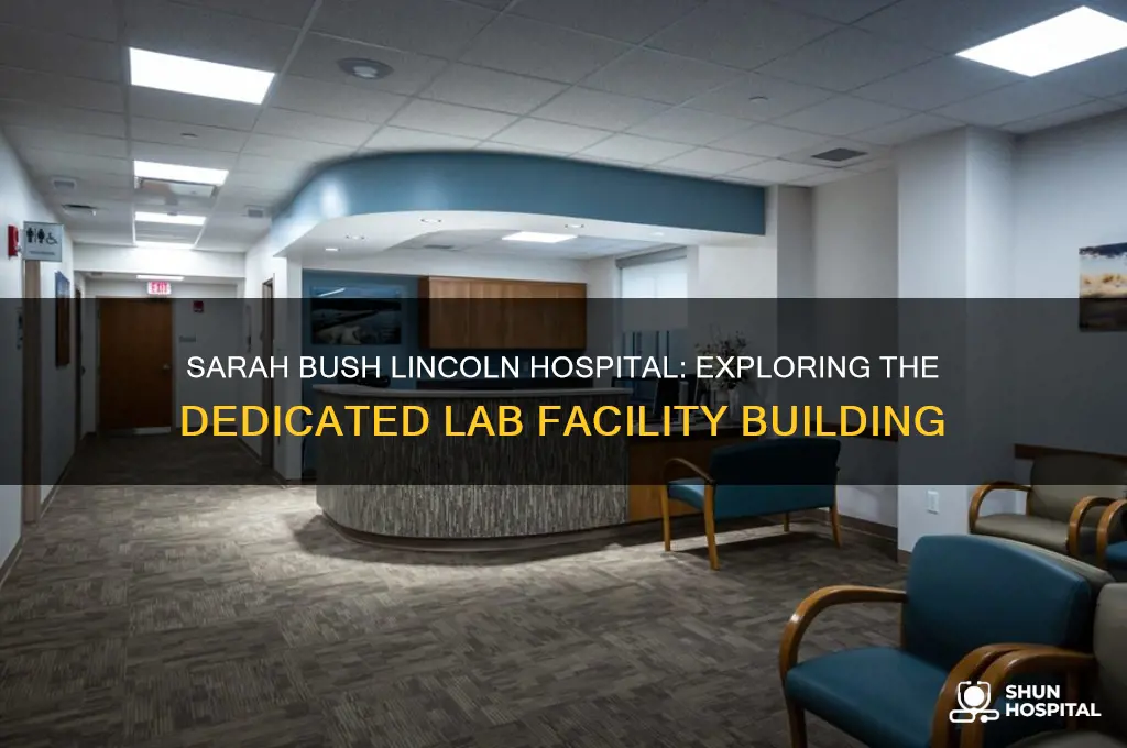 what building are labs done at sarah bush lincoln hospital