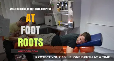 Exploring Foot Roots: Identifying the Main Hospital Building