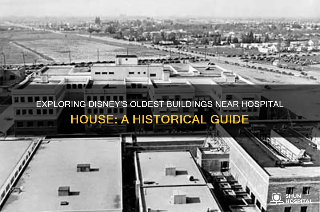 what buildings at disney
