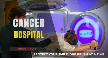 Choosing the Right Cancer Hospital: A Comprehensive Guide for Patients