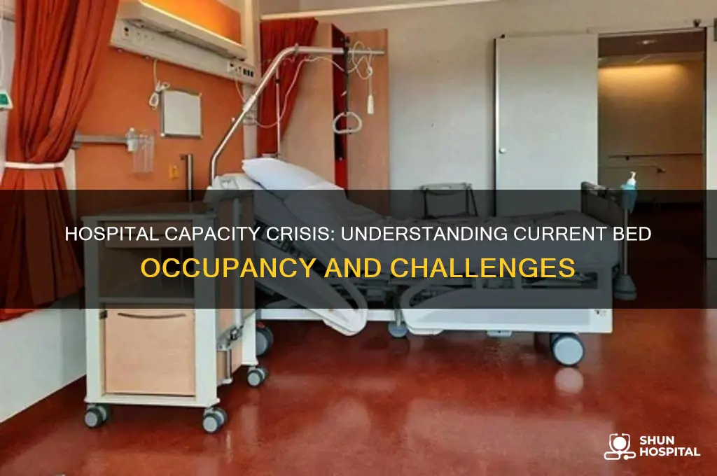 what capacity are hospitals at