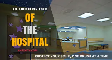 Exploring Specialized Care Services on the Hospital's 7th Floor