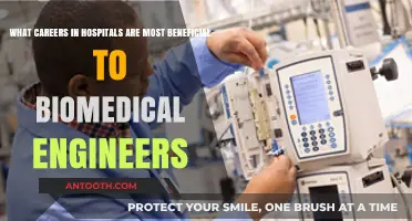 Top Hospital Careers for Biomedical Engineers: Opportunities and Impact