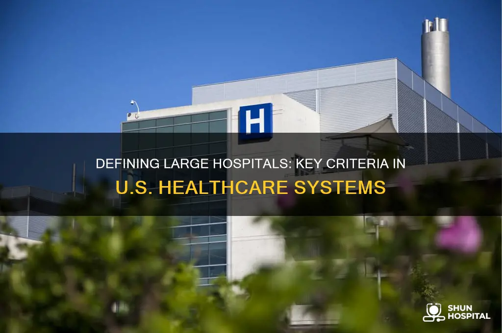 what categorizes a large hospital in the united states