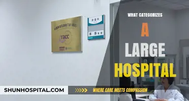 Defining Large Hospitals: Key Criteria and Categorization Explained