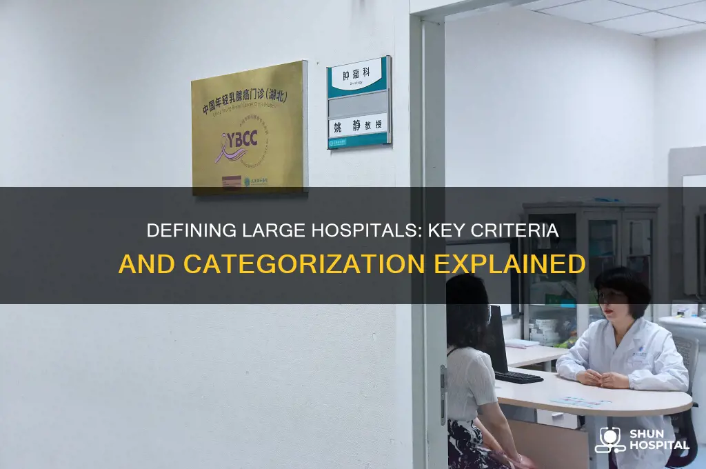 what categorizes a large hospital