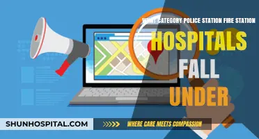 Essential Public Services: Categorizing Police, Fire, and Hospitals