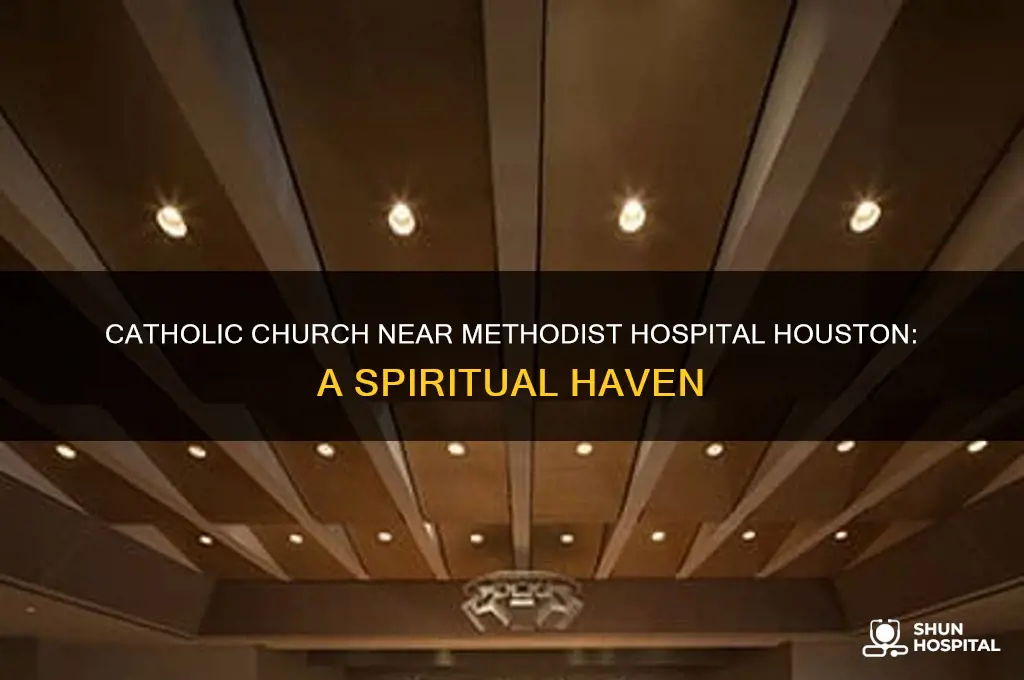 what catholic church is located by methodist hospital in houston
