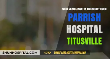 Understanding Delays in Parrish Hospital Titusville's Emergency Room Care