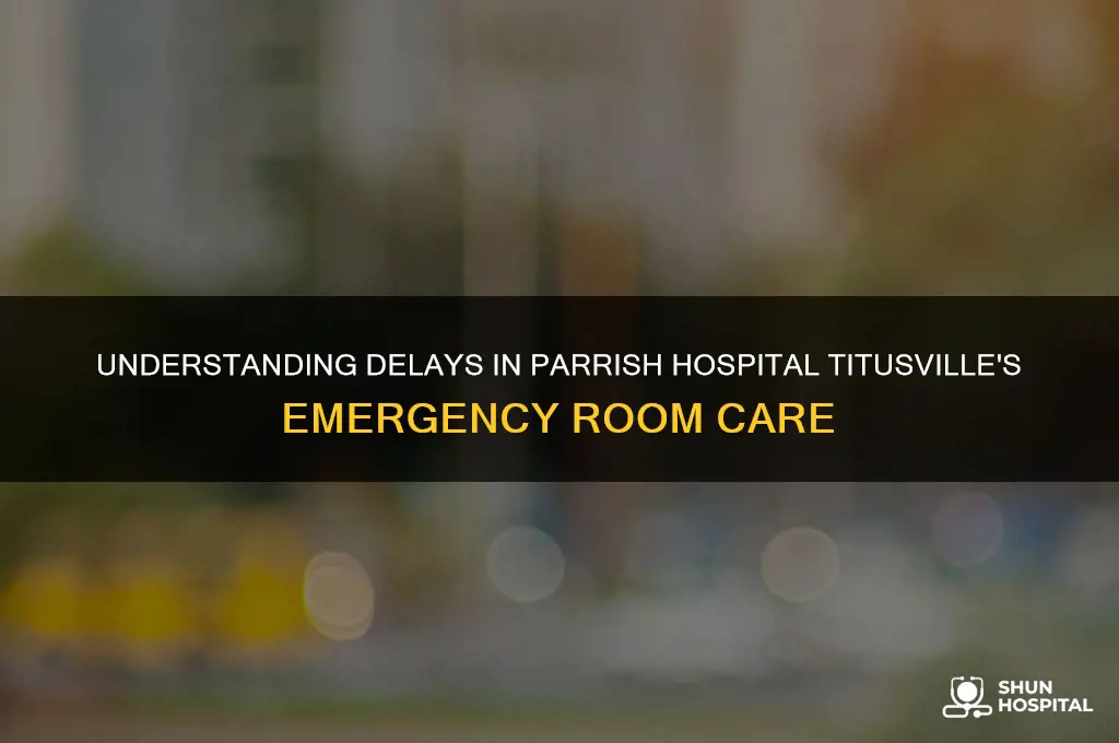 what causes delay in emergency room parrish hospital titusville