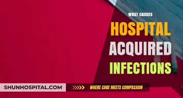 Understanding Hospital-Acquired Infections: Causes, Risks, and Prevention Strategies