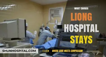 Unraveling the Factors Behind Prolonged Hospital Stays: Key Insights
