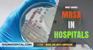 Understanding Hospital-Acquired MRSA: Causes and Prevention Strategies