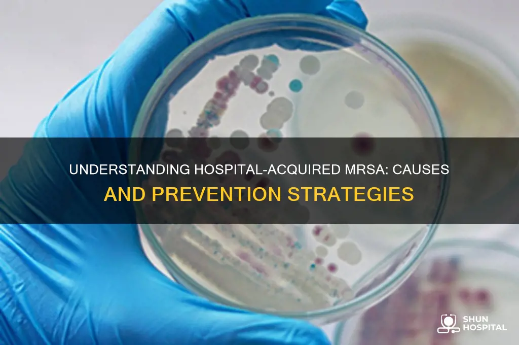 what causes mrsa in hospitals