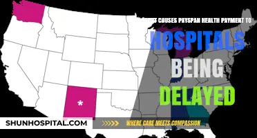 Why Are Payspan Health Payments to Hospitals Experiencing Delays?