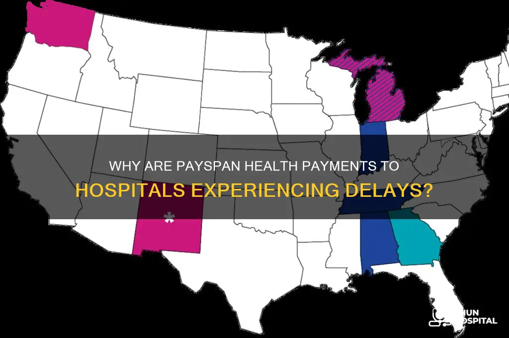 what causes payspan health payment to hospitals being delayed