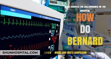 Hospital Disturbances: Unraveling Causes and Bernard's Role in Chaos
