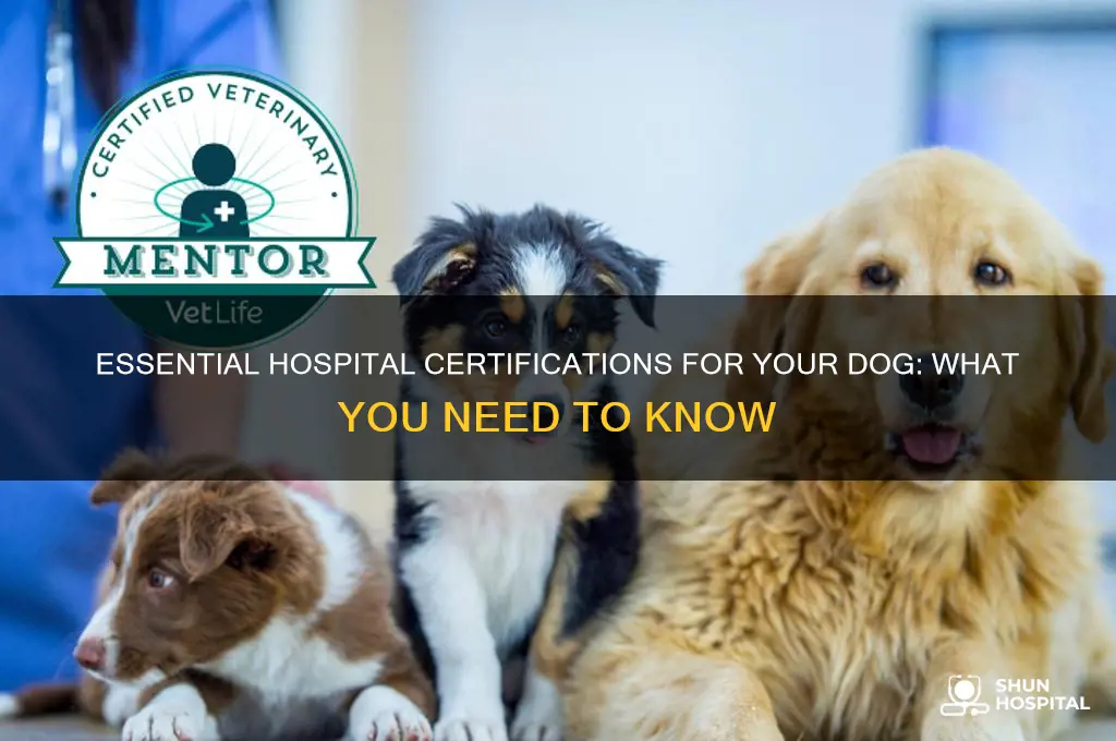 what certifications does your dog need to be in hospital