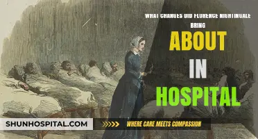 Florence Nightingale's Revolutionary Impact on Modern Hospital Practices