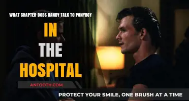 Ponyboy and Randy's Hospital Conversation: The Outsiders Chapter Revealed